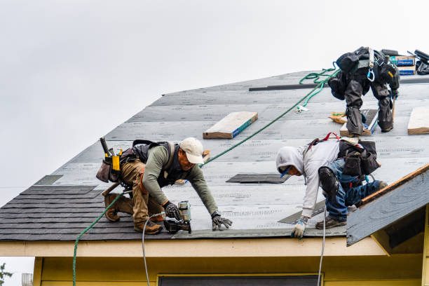 Professional Gutter Installation technician working in Needville, TX